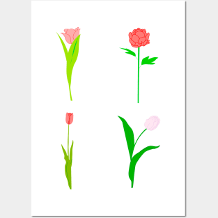 Spring flowers tulip Posters and Art